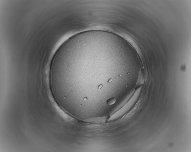 X0000097621054200803141958