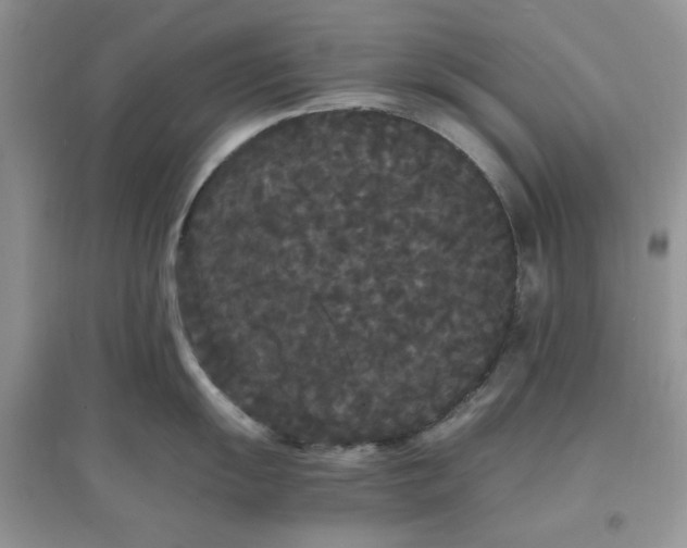 X0000097621055200803141958