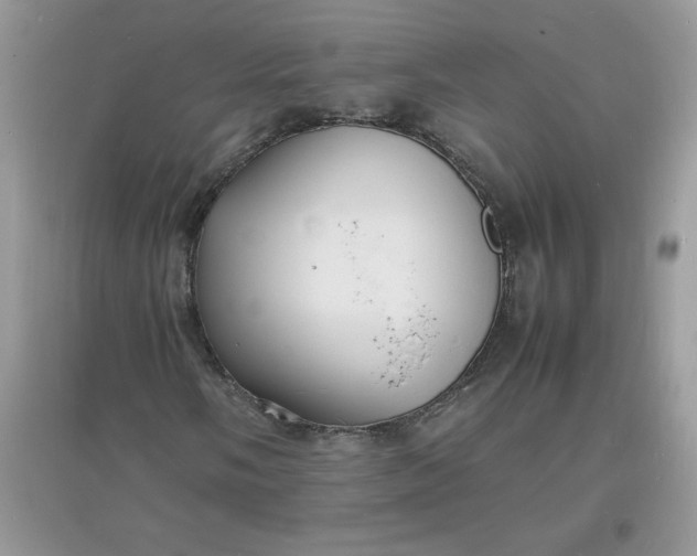 X0000097621058200803141957
