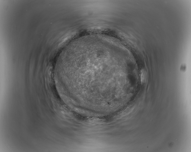 X0000097621059200803141957