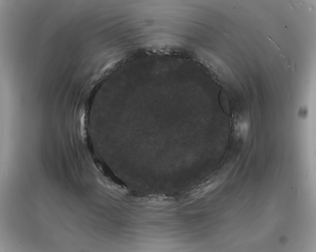 X0000097621060200803141957
