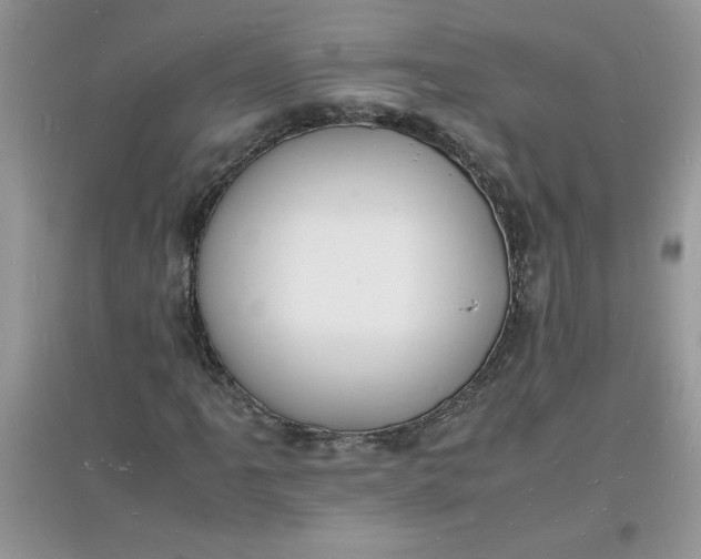 X0000097621061200803141957