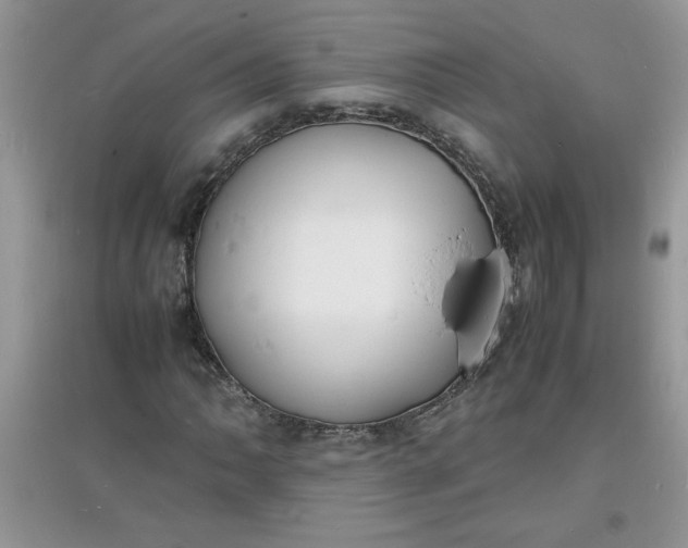 X0000097621062200803141957