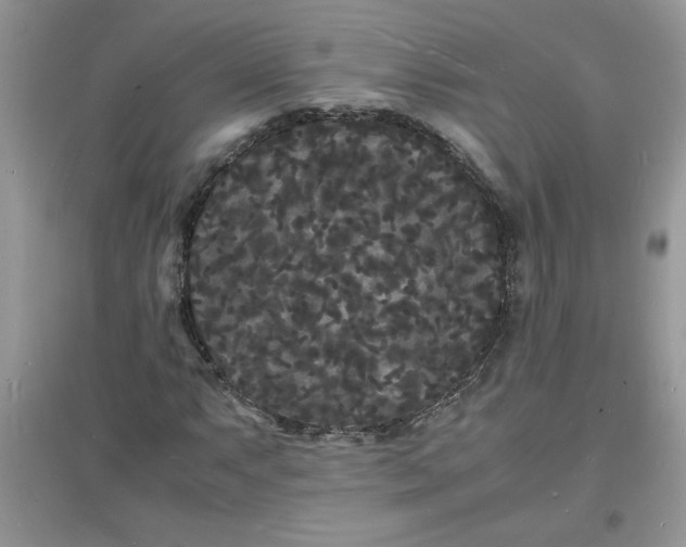 X0000097621063200803141957