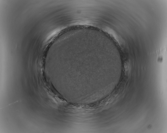 X0000097621064200803141957