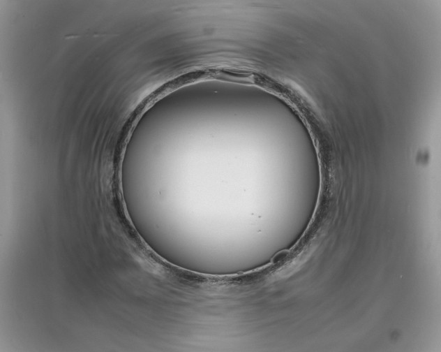 X0000097621065200803141957