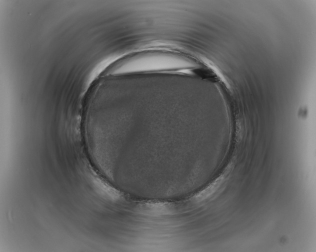 X0000097621066200803141957