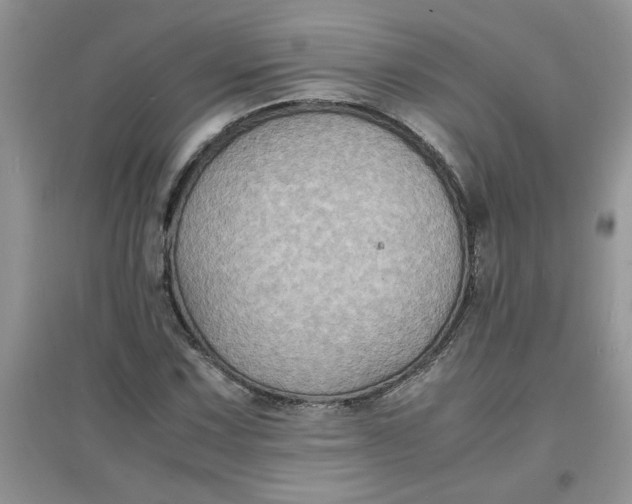 X0000097621067200803141957