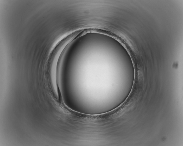 X0000097621069200803141957