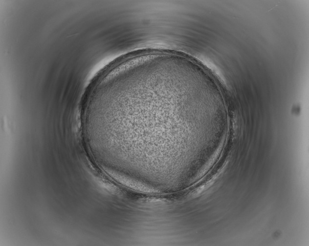 X0000097621070200803141957