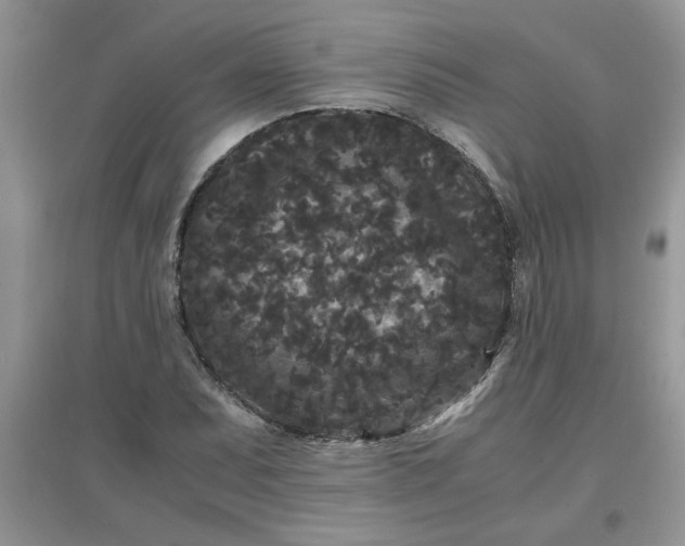X0000097621071200803141957