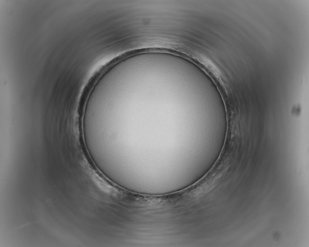 X0000097621072200803141957
