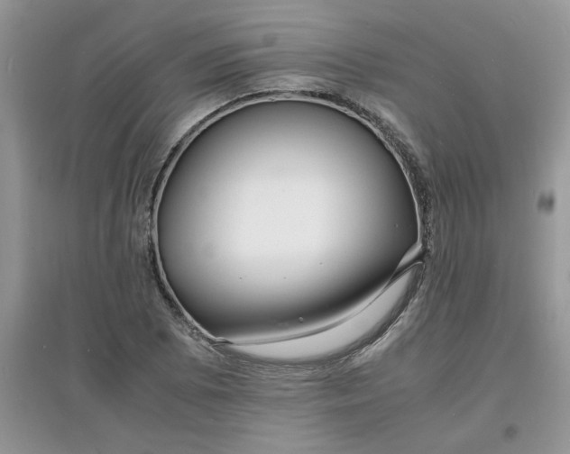 X0000097621073200803141957