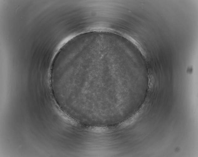 X0000097621074200803141957