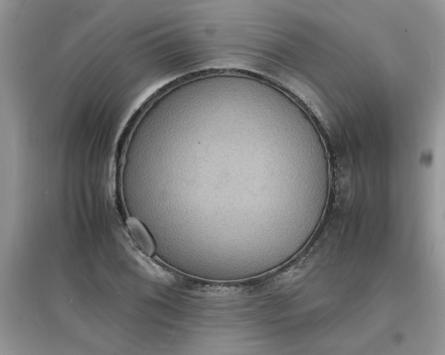 X0000097621076200803141957