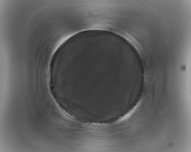 X0000097621077200803141957