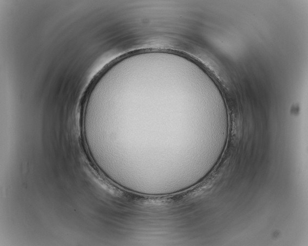 X0000097621078200803141957