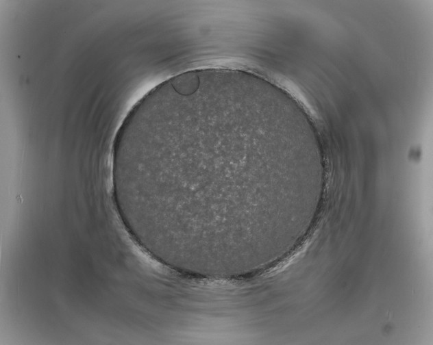 X0000097621079200803141957