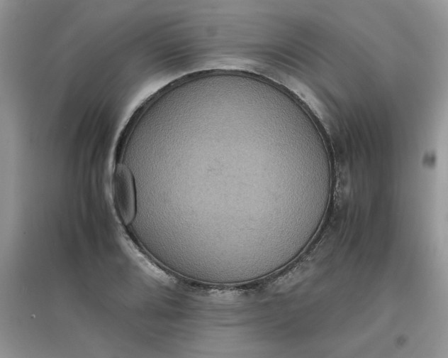 X0000097621080200803141957