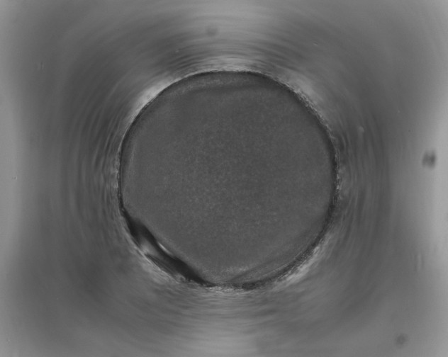 X0000097621081200803141957