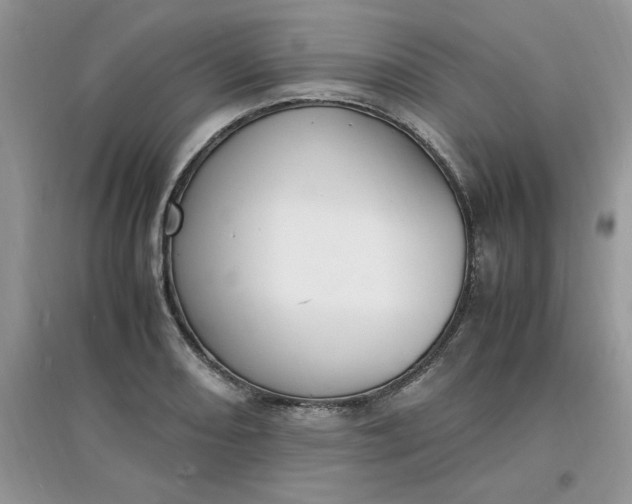 X0000097621082200803141957