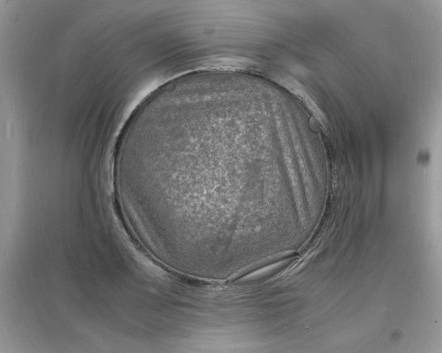 X0000097621083200803141957