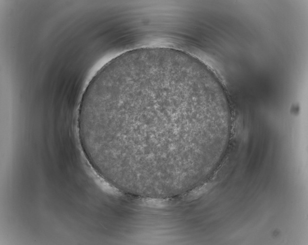X0000097621086200803141957