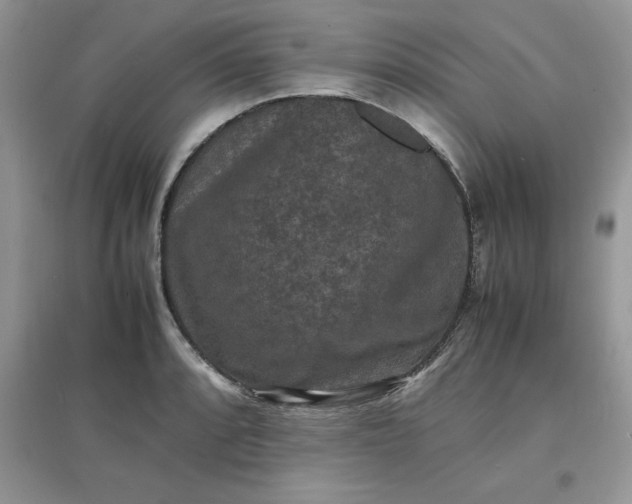 X0000097621088200803141957