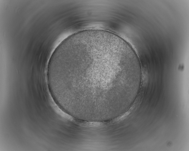 X0000097621090200803141957