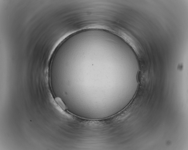 X0000097621092200803141957