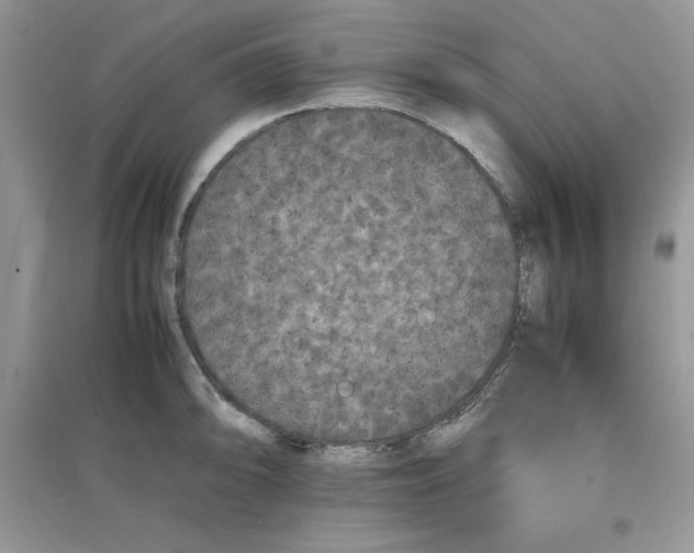 X0000097621094200803141957