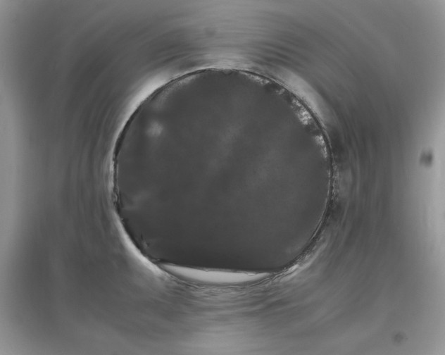 X0000097621095200803141957