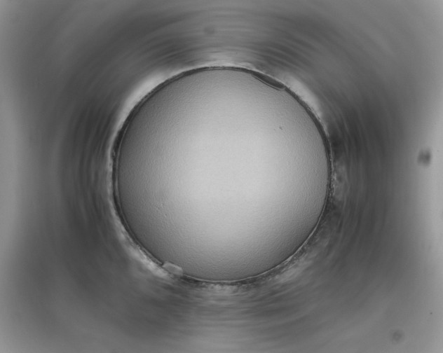 X0000097621096200803141957