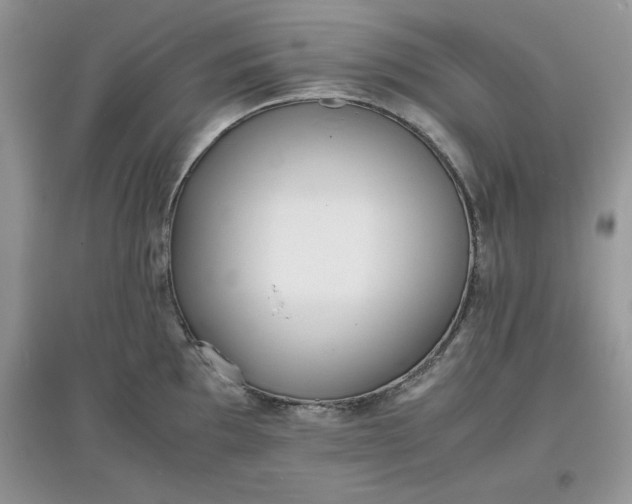 X0000097621097200803141957