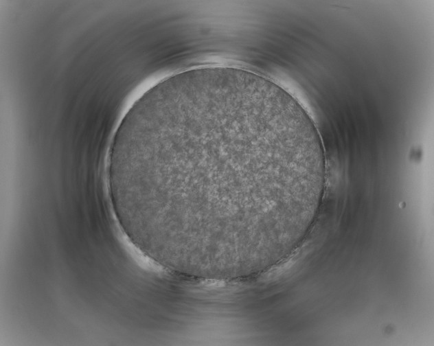 X0000097621098200803141956