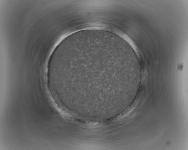 X0000097621099200803141956