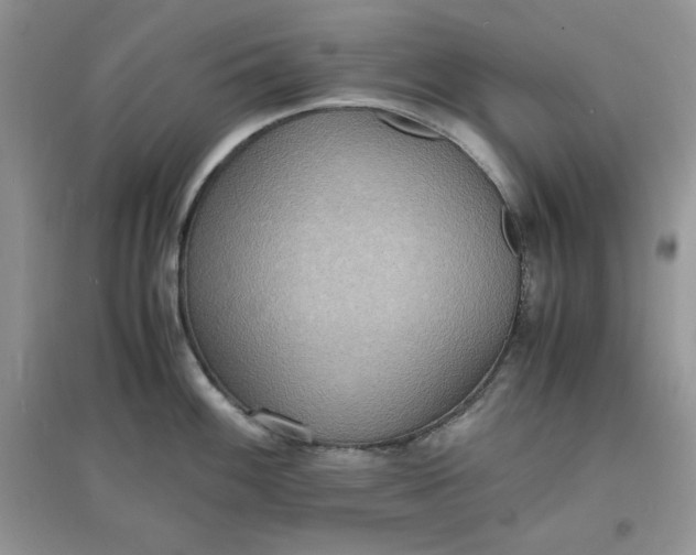 X0000097621100200803141956