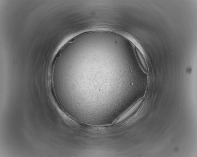 X0000097621101200803141956