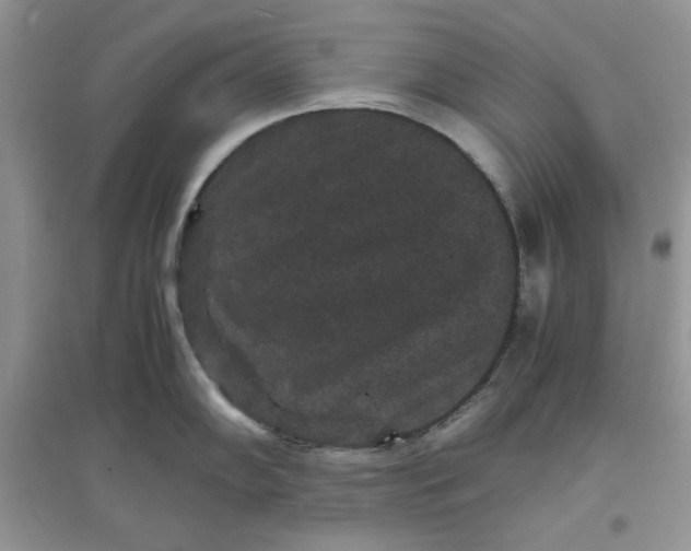 X0000097621102200803141956