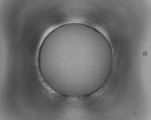 X0000097621104200803141956