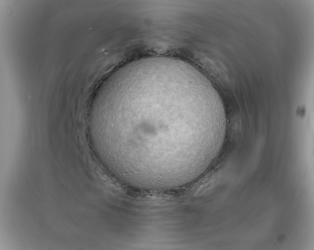 X0000097621105200803141956