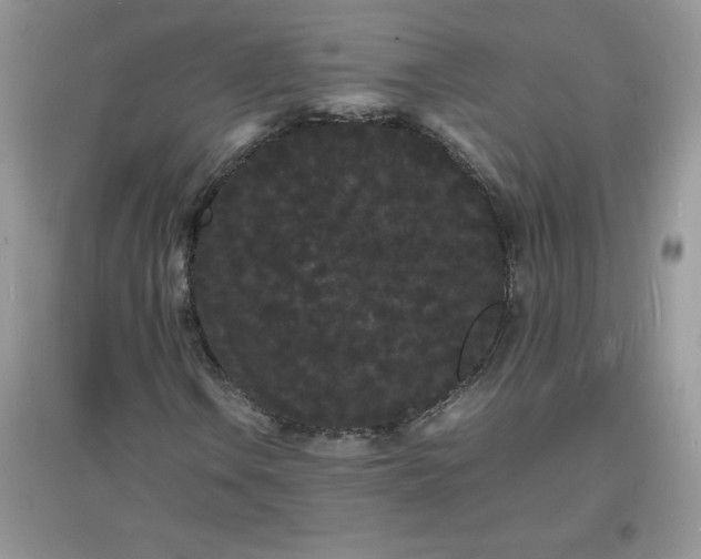 X0000097621106200803141956