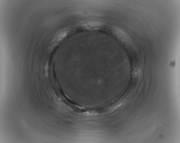 X0000097621108200803141956