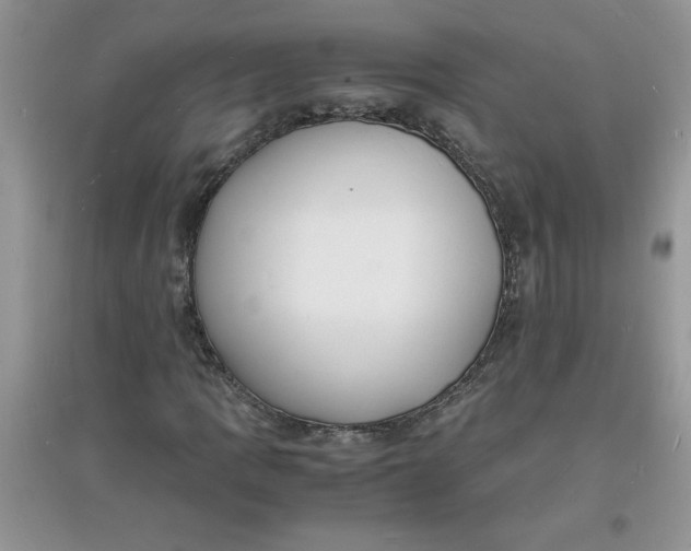 X0000097621109200803141956