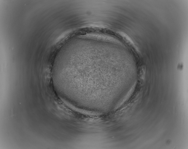 X0000097621110200803141956