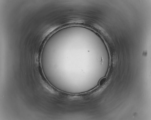 X0000097621113200803141956