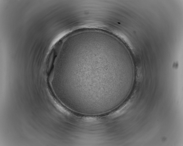 X0000097621114200803141956