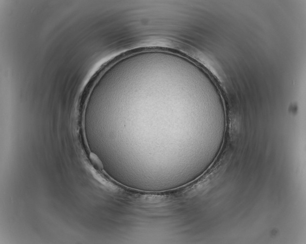 X0000097621116200803141956