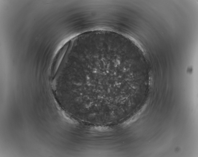 X0000097621117200803141956