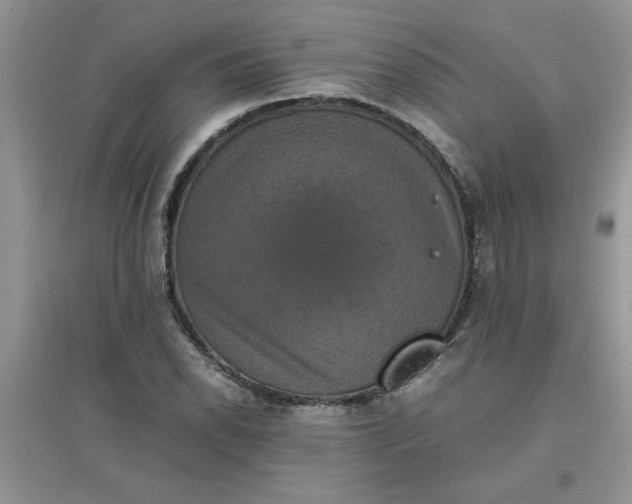 X0000097621118200803141956
